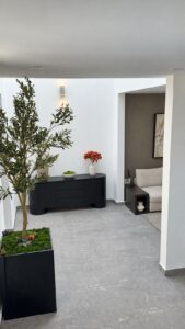 Casa muestra en preventa, Residencial La Esperanza, Tijuana