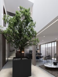 Casa modelo Castaño en preventa, La Esperanza, Tijuana